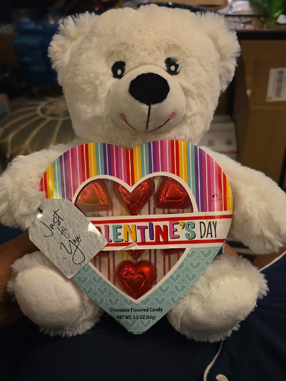 White Plush Teddy Bear Holding Heart Valentine Candy